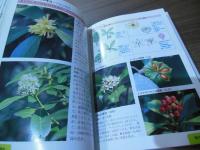 樹木　見分けのポイント図鑑