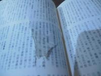 鎌倉・室町人名事典 : コンパクト版