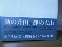 大山VS升田全局集