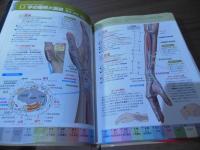 ツボ単 : 経穴取穴法・経穴名由来解説・ユ穴単語集