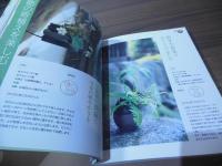 季節をいろどる 草盆栽・苔玉
