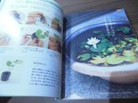 季節をいろどる 草盆栽・苔玉