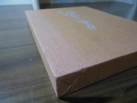 治療の書