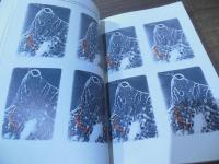 [洋書]Eye and Brain: The Psychology of Seeing (Princeton Science Library)