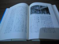 日本の馮きもの : 俗信は今も生きている