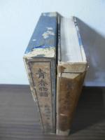青春物語