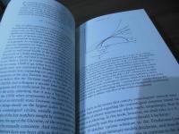 [洋書] Cosmic Evolution: The Rise of Complexity in Nature