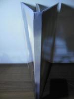 早乙女愛 写真集　[カバー欠・裸本]