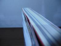 ホームレス・スーパースター列伝