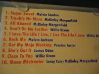 【CD】MUDDY WATERS/TROUBLE NO MORE(SINGLES 1955-1959)