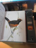 世界の野鳥 : 本から聞こえる200羽の歌声