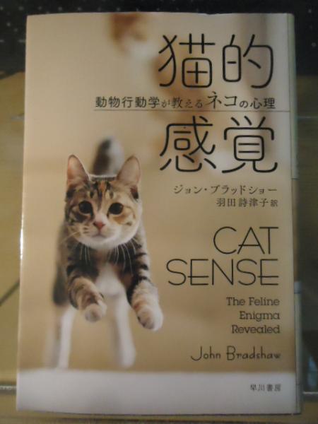 猫的感覚