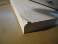 My Little New York Times