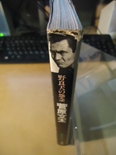 Amazon.co.jp: 菅原文太 改訂: 野良犬の怨念 (シネアルバム 95