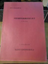 河股城跡発掘調査報告書