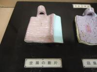 腸解剖模型　［人体模型]