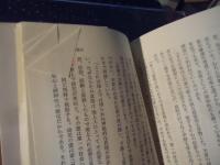 これが死後の世界だ : 開かれた来世