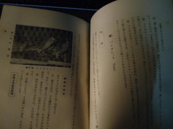 人気No.1 趣味と実益を兼ねた高級セキセイと牡丹インコ(張房雄 著) / 古本 趣味・スポーツ・実用