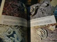 Snakes as pets