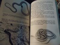 Snakes as pets