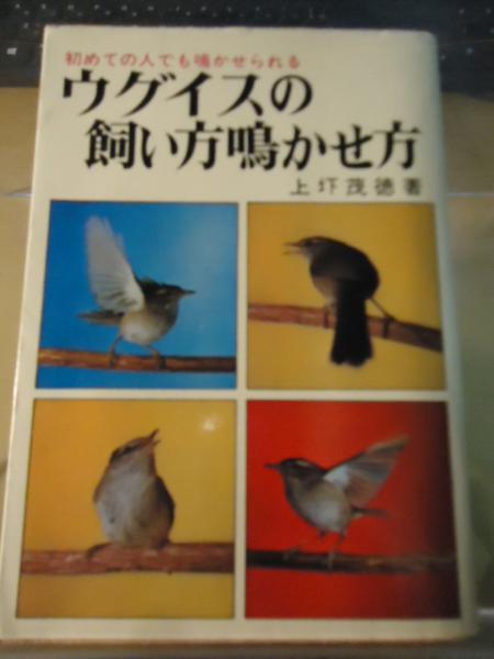 ウグイスの飼い方鳴かせ方(上圷茂徳 著) / 古本、中古本、古書籍の通販