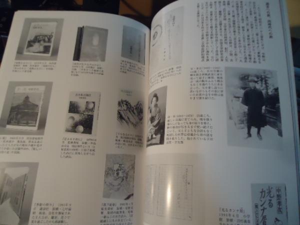 中野孝次展 : 今ここに生きる(神奈川文学振興会 編) / 古本、中古本