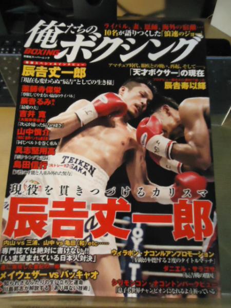 劇画豊臣秀吉 : 墨俣一夜城の攻防(大崎悌造 原作 ; 木村周司