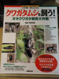 クワガタムシを飼う! : オオクワガタ飼育大作戦