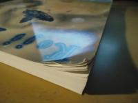 抒情の旅人蕗谷虹児展 : 図録
