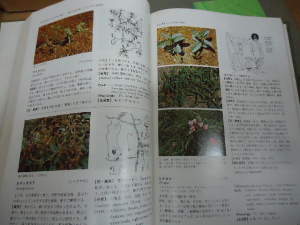 明倫館書店 / 新版 日本原色雑草図鑑
