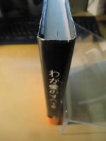 わが愛のすべてを