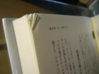快感回路 : なぜ気持ちいいのかなぜやめられないのか リンデン 著 ; 岩坂彰 訳