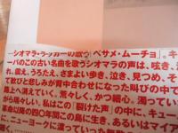 引き裂かれた声 : もうひとつの20世紀音楽史