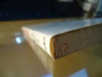 ポルノ小説大研究