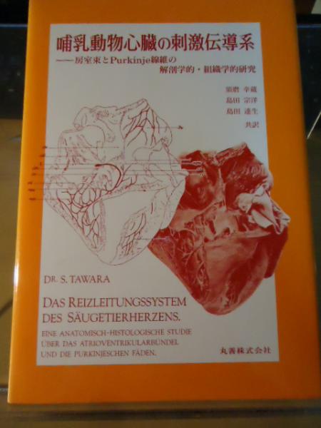 哺乳動物心臓の刺激伝導系 : 房室束とPurkinje線維の解剖学的・組織学