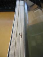 だれも書かなかった「部落」