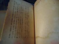 戦争と交通 : 大戦下の欧米をめぐりて