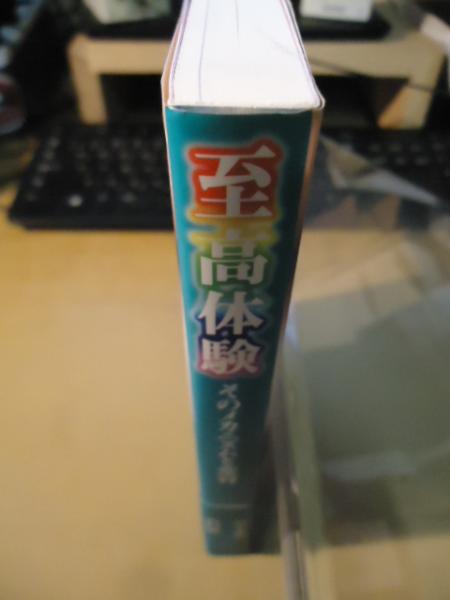 至高体験 : そのメカニズムと変容 至高体験 : そのメカニズムと変容(山口椿, 代々木忠 著) / 古本