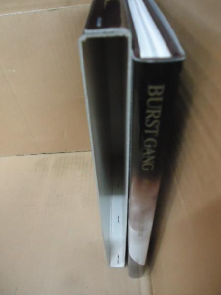 BURST GANG(高嶋元能) / 古本、中古本、古書籍の通販は「日本の