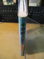 沖縄八重山蝶採集ガイド
