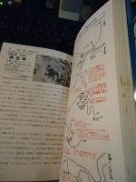 沖縄八重山蝶採集ガイド