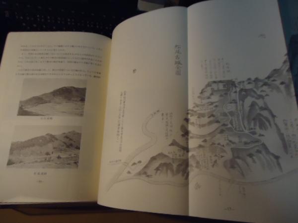 戦国遺文 真田氏篇 （真田氏編） [全集叢書]