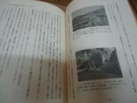 宿駅としての大磯と府中