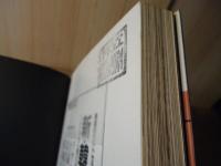 天安門燃ゆ : 激動の北京現地報告