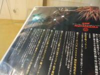 【DVD】松平健　マツケンサンバⅡ 振り付け完全マニュアルDVD