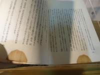 獄中300日 : 権力の謀略に陥った苦渋と怒りの手記