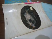最後の秘境　南西諸島の釣り(1)