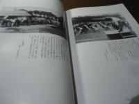 記憶の中の風景 : 写真で見る猿島町の二十世紀