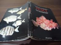 【地中海の魚の洋書】PESCI DEL MEDITERRANEO