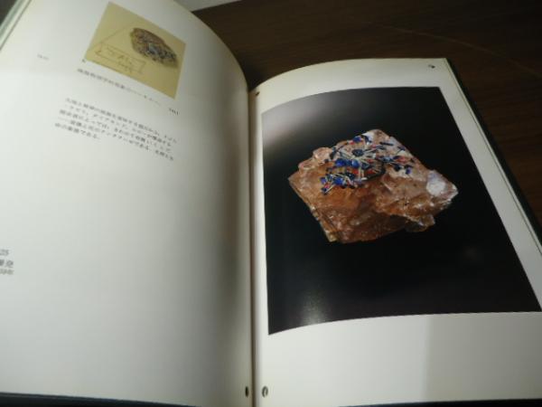 奇蹟のダリ宝石展(フジテレビギャラリー編集) / 古本、中古本、古書籍